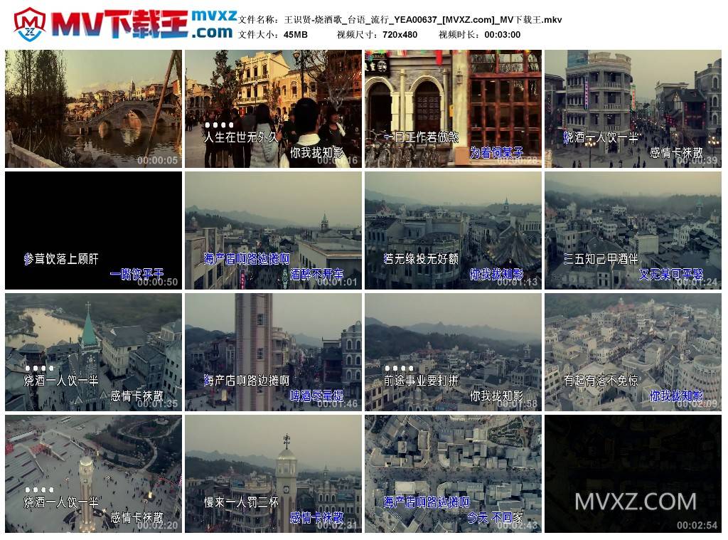 王识贤-烧酒歌_台语_流行_YEA00637
